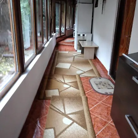 Tatil Evi Ada-ini House Craiova